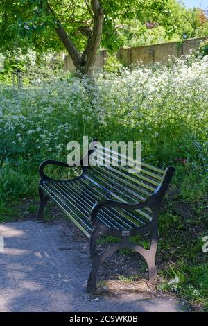 Panca vuota del parco con fiori selvatici e alberi dietro di esso & parete di stato classificato di grado II di Eastcote House Walled Garden, Eastcote, Hillingdon, NW London. Foto Stock