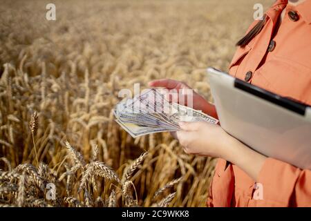 Giovane agricoltore che detiene dollari in campo di grano dorato. Profittate dell'agricoltura durante la stagione di raccolta in estate Foto Stock