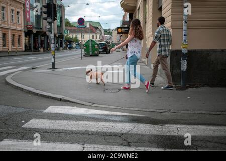 Belgrado, Serbia, 19 luglio 2020: Coppia cane a piedi lungo la strada a Zemun Foto Stock