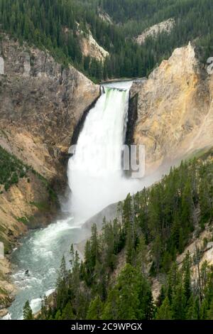 Lower Yellowstone River Falls, parco nazionale di Yellowstone. Foto Stock