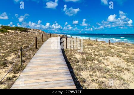 Passerella sopraelevata in legno sulle dune di sabbia protette di Platja de Llevant, Formentera, Spagna Foto Stock