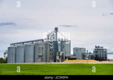 Moderno ascensore granaio. Silos di metallo per immagazzinaggio di grano, asciugando, pulendo i prodotti agricoli, farina, cereali e grano. Concetto di elaborazione agroalimentare Foto Stock