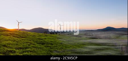 Popolare attrazione turistica, le turbine eoliche di Windy Hill condividono la fattoria con il bestiame da latte intorno a Ravenshoe, Queensland, Australia. Foto Stock