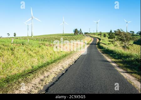 Popolare attrazione turistica, le turbine eoliche di Windy Hill condividono la fattoria con il bestiame da latte intorno a Ravenshoe, Queensland, Australia. Foto Stock