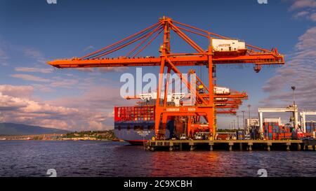 Container Port con le grandi gru container che caricano un Ocean Going Freighter nel porto di Vancouver Foto Stock