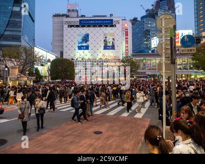 Incrocio di Shibuya di Tokyo, Giappone Foto Stock