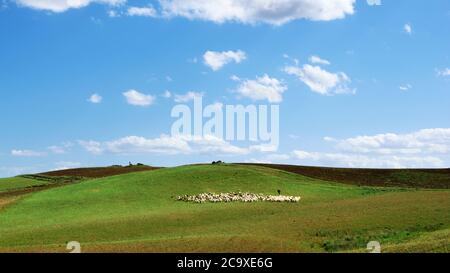 Idilliaco panorama della Sicilia con colline coperte di erba verde e gregge di pecore con pastore sotto nuvole bianche Foto Stock
