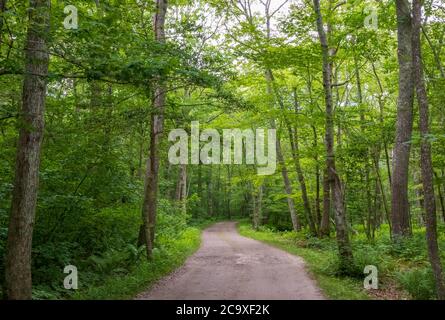 Paesaggio panoramico estivo a Wilbour Woods, Rhode Island Foto Stock