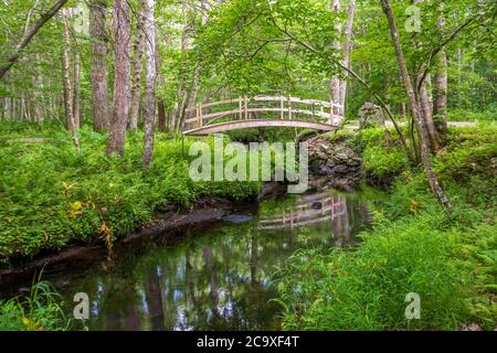 Paesaggio panoramico estivo a Wilbour Woods, Rhode Island Foto Stock