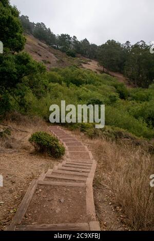 Ci sono molte scale come questa lungo i sentieri escursionistici nel Glen Canyon Park a San Francisco, CA, USA. Foto Stock