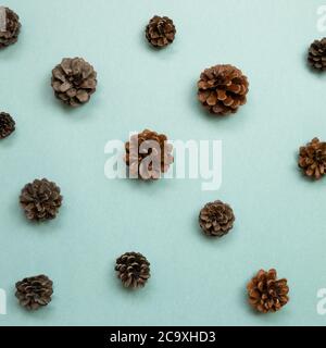 Coni di pino secco autunnali su sfondo verde. Posa piatta, vista dall'alto Foto Stock