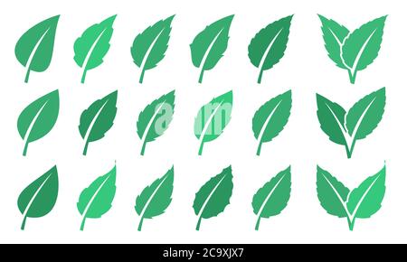 Foglia verde set. Eco Design Illustrazione Vettoriale