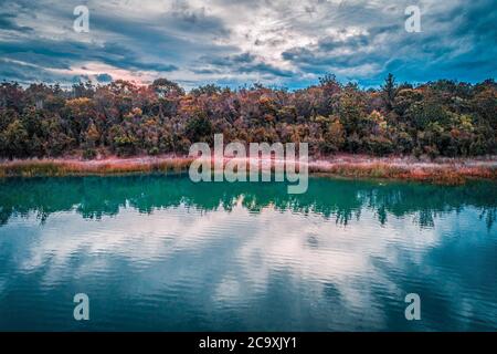 Vegetazione australiana nativa sulle rive di un lago Foto Stock