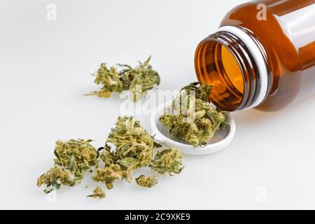 Marijuana medica in bottiglia su sfondo bianco Foto Stock