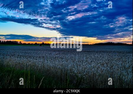 Spettacolare tramonto sui campi vicino a Kumla Svezia Foto Stock