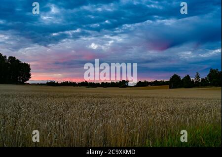 Spettacolare tramonto sui campi vicino a Kumla Svezia Foto Stock