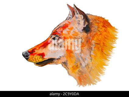 Disegno ad acquerello della testa della volpe isolato su bianco Foto Stock