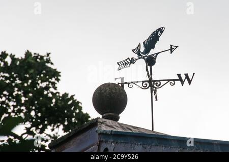 Intorno al Regno Unito - Leaping Fish Weather Vane Foto Stock