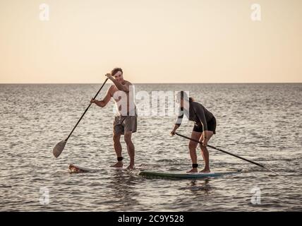 Coppia caucasica matura su SUP paddleboarding divertendosi su un mare tranquillo al tramonto in una bellissima spiaggia remota. Persone anziane moderne attive, all'aperto A. Foto Stock