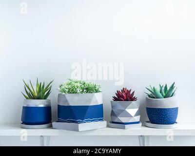 Piante succulente verdi e rosse e fiori bianchi in moderne piantatrici geometriche in calcestruzzo su ripiano bianco isolato su fondo bianco con copia spac Foto Stock