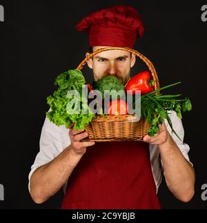 Cuoci con il viso stretto tiene le verdure nel cestino. Uomo con verdure su sfondo nero. Concetto di cibo naturale. Chef in borgogna uniforme odore lattuga, pepe, pomodoro e peperoncino. Foto Stock