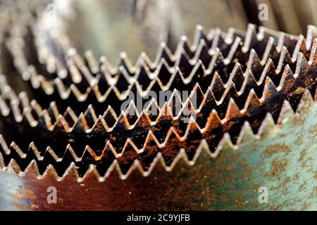 Macrofotografia di denti seghettati di un taglio a foro attrezzo Foto Stock