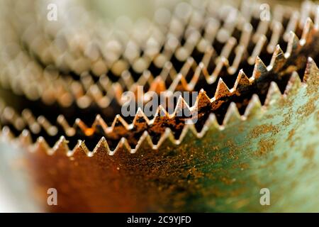 Macrofotografia di denti seghettati di un taglio a foro attrezzo Foto Stock