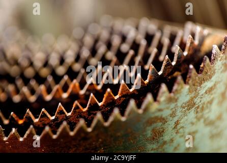 Macrofotografia di denti seghettati di un taglio a foro attrezzo Foto Stock