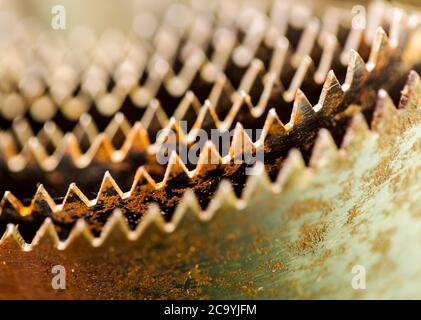 Macrofotografia di denti seghettati di un taglio a foro attrezzo Foto Stock