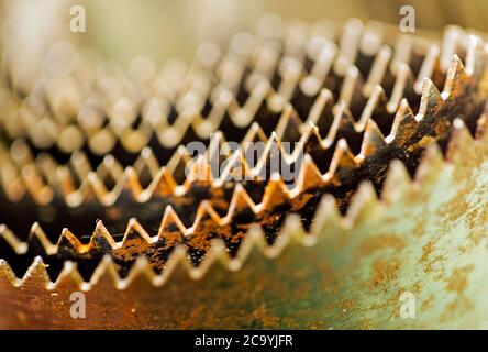 Macrofotografia di denti seghettati di un taglio a foro attrezzo Foto Stock