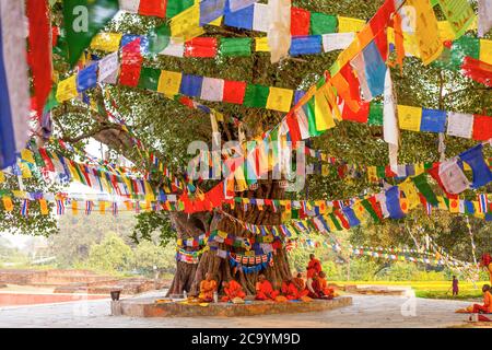 LUMBINI, NEPAL - 15 NOVEMBRE : i pellegrini visitano il luogo di nascita del Buddha durante la preghiera del giovane monaco di Buddha Jayanti, il 15 novembre 2013 a Lumbini, Nepal Foto Stock