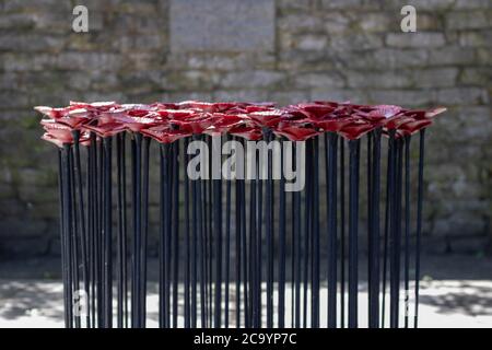 incredibili papaveri commemorativi in metallo rosso Foto Stock