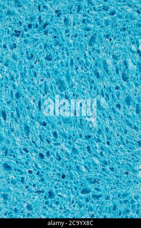Primo piano della struttura della spugna Foto Stock