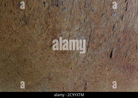 Vista macro dell'interno della ciotola in legno usurato con graffi profondi e imperfezioni Foto Stock