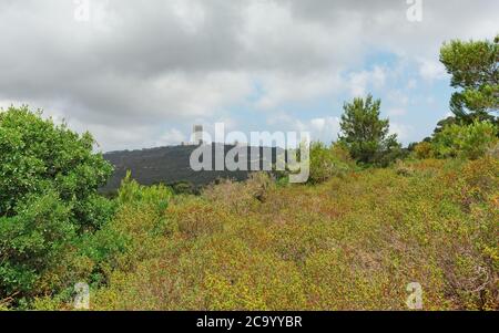 Università di Haifa sul Monte Carmelo, Israele Foto Stock