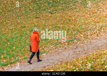 Donna in camice rosso che cammina sul sentiero nel prato, pieno di foglie d'autunno colorate. Femmina in rosso su sfondo campo autunnale. Spazio di copia. Autunno umano colo Foto Stock
