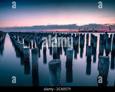 Iconici stumps post stand pround alla fine del molo della principessa in moffurne australia Foto Stock