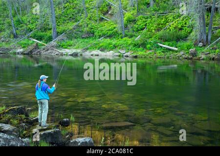 Pesca a mosca, Selway selvatica e Scenic River, Nez Perce National Forest, Idaho Foto Stock