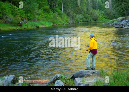 Pesca a mosca il fiume Clearwater della forcella sud, la foresta nazionale di Nez Perce, Idaho Foto Stock