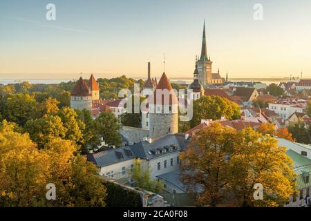 Le mura della città di Tallinn e la chiesa di San OLAF vista dall'alto Foto Stock