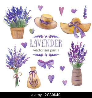 Set di illustrazioni vettoriali di lavanda. Acquerello dipinto a mano. Fiori, rami e bouquet di lavanda. Provenza Illustrazione Vettoriale