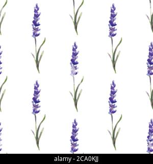 Illustrazione vettoriale. Motivo senza giunture composto da fiori di lavanda. Pittura acquerello Illustrazione Vettoriale