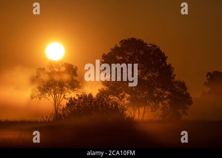 Sole che sorge sopra il paesaggio nelle prime ore del mattino estivo Foto Stock