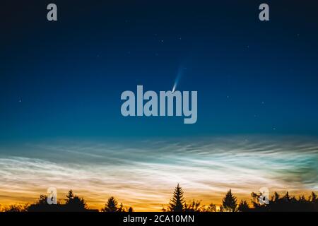 C / 2020 F3 NEOWISE o Comet NEOWISE è visto sul cielo notturno della Russia. Foto Stock