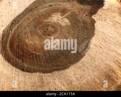 anima tessitura di legno. Vista dall'alto. Primo piano. Sfondo, serie texture. Foto Stock