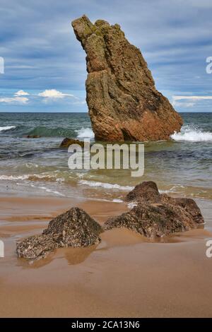 Grande catasta di mare sulla spiaggia di Cullen, Moray Coast, Scozia, Regno Unito, nella soleggiata giornata estiva Foto Stock