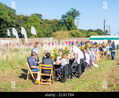 Thrift festival a Kirkleatham, Redcar. UK (2016) Foto Stock