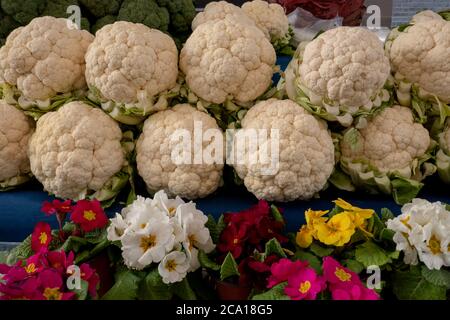 Gruppo di cavolfiori con foglie verdi e fiori Foto Stock