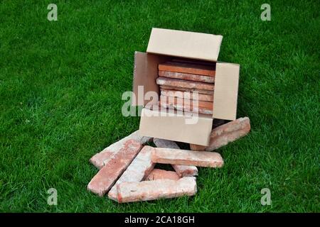 Gamma di mattoni rossi tagliati preparati per l'uso in scatola di cartone Foto Stock