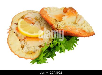 Due granchi di Cromer vestiti isolati su uno sfondo bianco Foto Stock